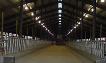 Emerald Dairy